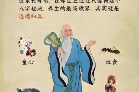 道家八字看人生命运