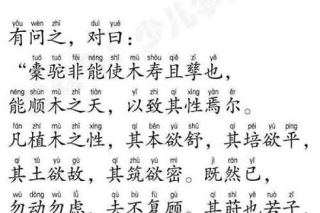 风水名著《黄帝宅经》简介，全文及译文