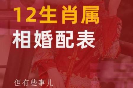 属蛇和什么属相最配对 属蛇和什么属相相冲
