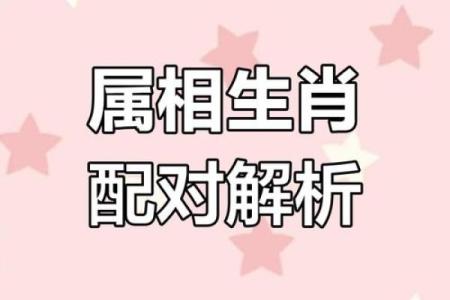 1962年属虎人和什么属相婚配好,1962年属虎的人婚姻配对详解