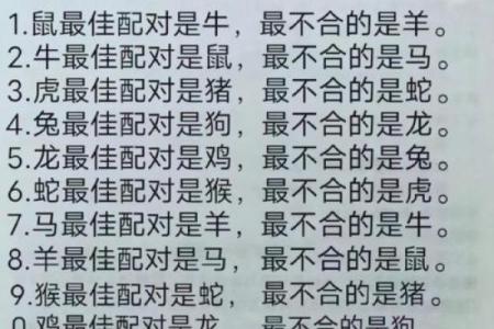 老鼠和什么属相最配对 老鼠和哪个属相最佳配对