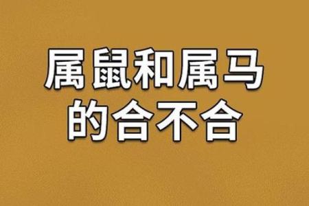 90属马人和96属鼠人配对  两人可以结婚吗