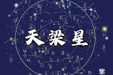 紫薇斗数紫薇梦