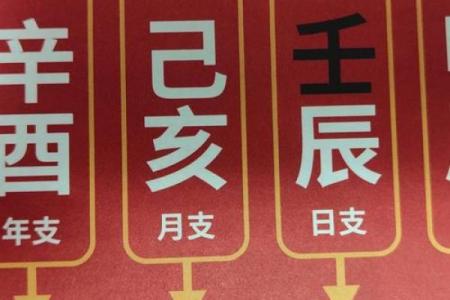 八字亥子