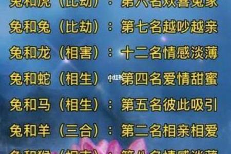 女羊男兔生肖配对姻缘 属羊女与属兔男婚姻配对详解