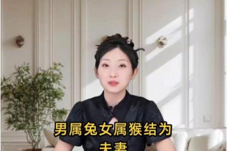 生肖猴和生肖兔配不配 生肖猴和生肖兔配对指数