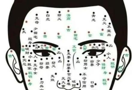 五官看面相算命图解女眼睛 眼睛看相算命图解