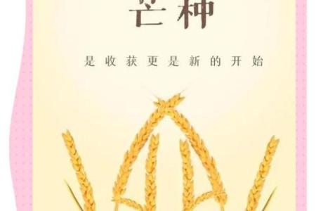 2024年芒种的财神方位在哪？芒种节气的三个物候现象