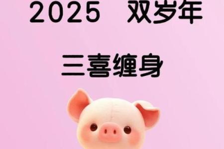 71年属猪和75年属兔相配吗 互补默契配对理想