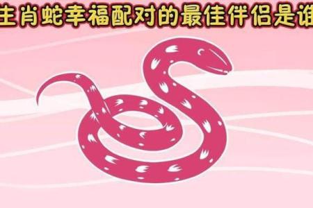 蛇跟什么生肖配对最好 生肖蛇最佳配对