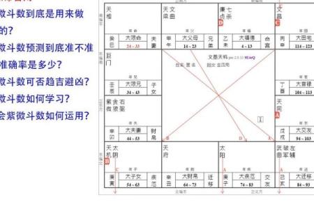 紫薇斗数速成
