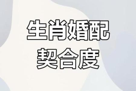 属鸡正缘出现在哪年 属鸡人婚姻配对表