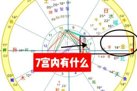 紫薇星盘看姻缘