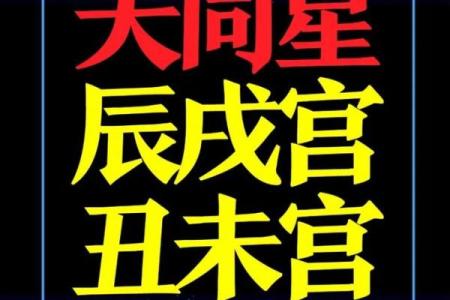紫薇斗数大财星