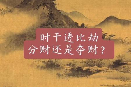 八字比劫多