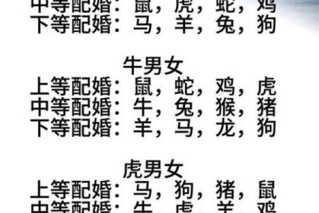 属相配对女性姻缘查询 属相婚姻配对十二生肖配对？
