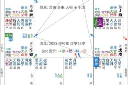 紫微斗数意外 紫微斗数意外伤害？