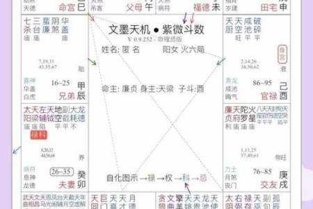 紫微斗数之各星曜所主行业：智商与考试