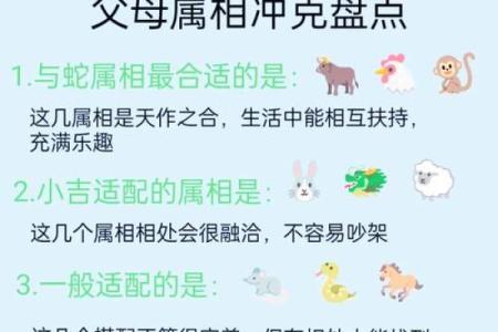 十二生肖属蛇的配对