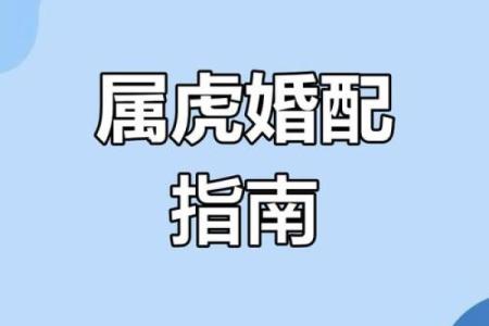 虎跟什么生肖配对最好 生肖虎最佳配对