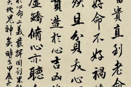 袁树珊八字