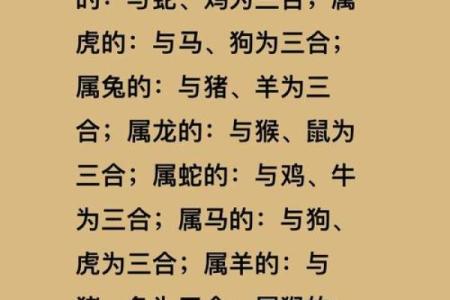 95年属猪女和什么生肖配对最好 什么时候才想要结婚