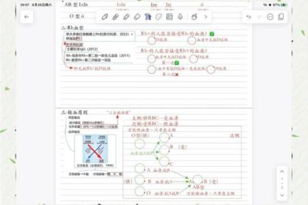 自我改造与血型解析