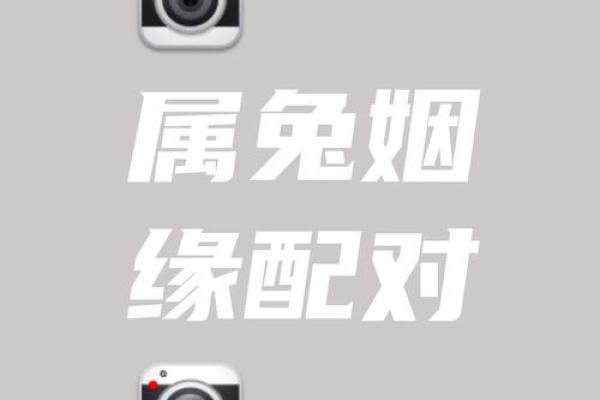 属兔正缘出现在哪年 属兔人婚姻配对表
