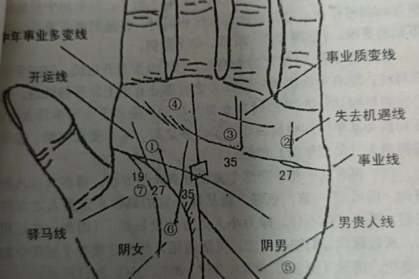 手相“影响线”算命图解