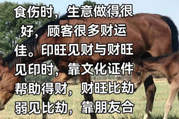 八字易经基础，打通未来财运大门！