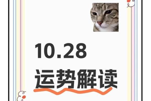 今日运势每日一签测试