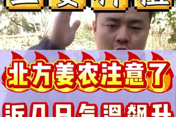种生姜 风水