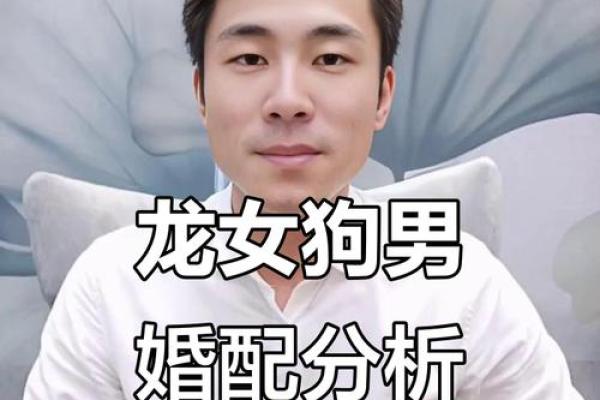 属龙和属狗相配吗 属龙和属狗配对好吗