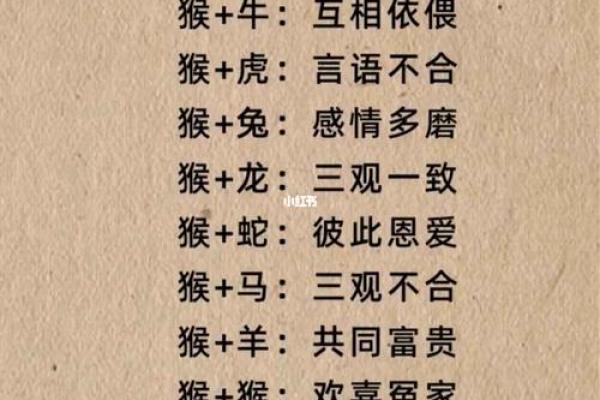 1991年属什么生肖配对
