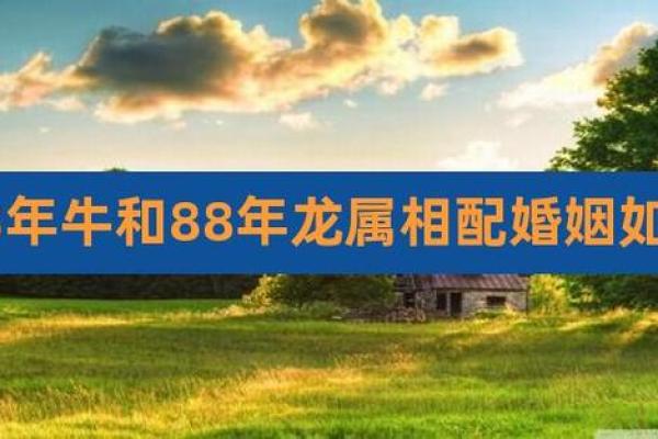 龙女配牛男旺夫吗 女龙男牛爱情配对