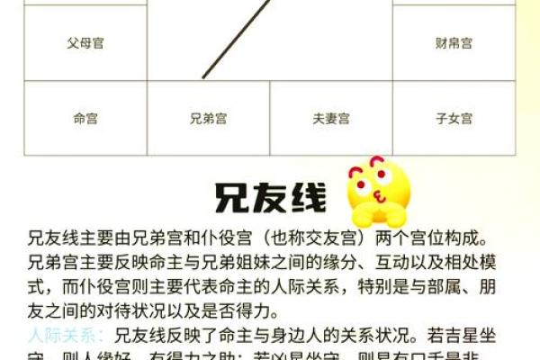 紫薇斗数阴阳相背