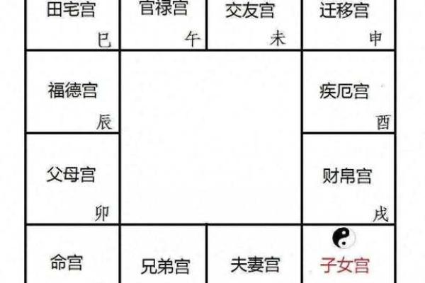 紫微斗数术语解释之：强宫、弱宫