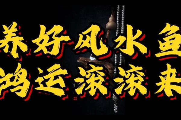 1979年5月初2属羊养几条风水鱼好-