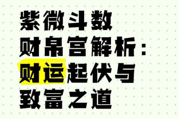 紫薇斗数博士入财帛