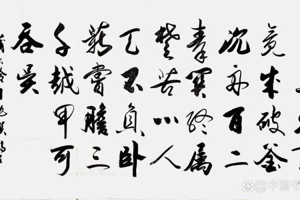 八字眉者有长矛战群英之勇