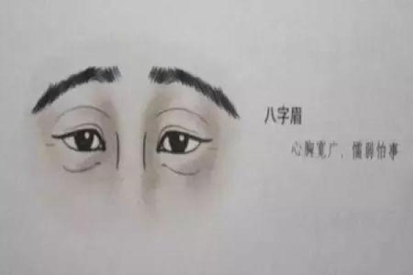 八字眉者有长矛战群英之勇