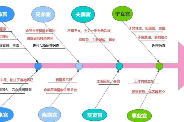 紫薇星盘星曜解析详解图
