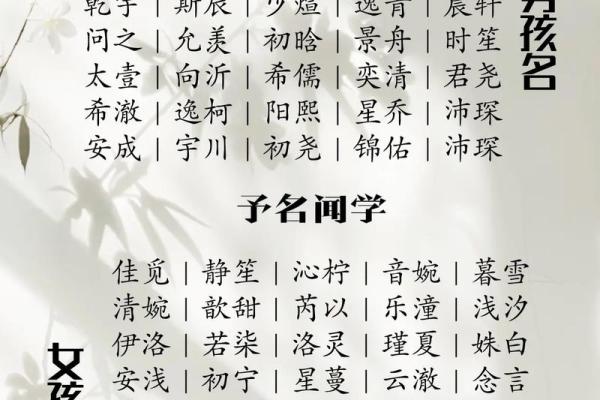 权威可信的国学宝宝起名网站,国学姓名测试打分