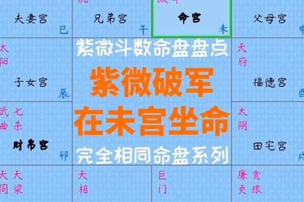 紫薇斗数看每日流盘