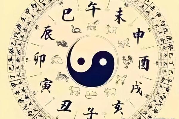 八字决定了一生命运吗