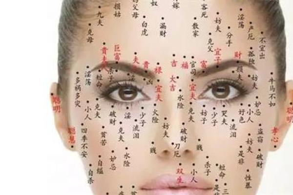 女人有黑观音痣 下巴的痣房屋多