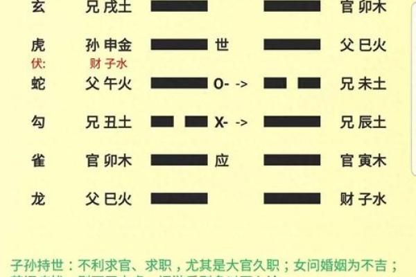 给小白学习周易六爻、四柱八字等术数入门及精进的一些建议