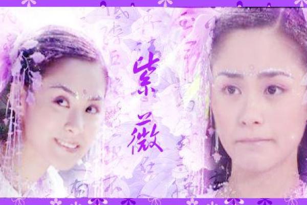 紫薇仙子紫薇斗数