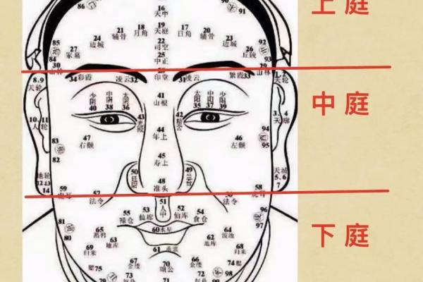 风水面相：耳朵贴脑的女人好不好