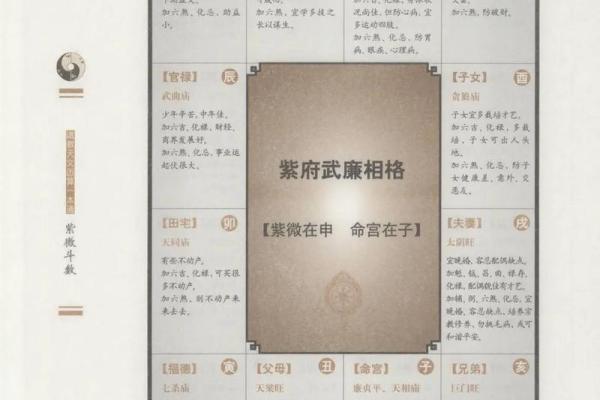 紫薇斗数权马